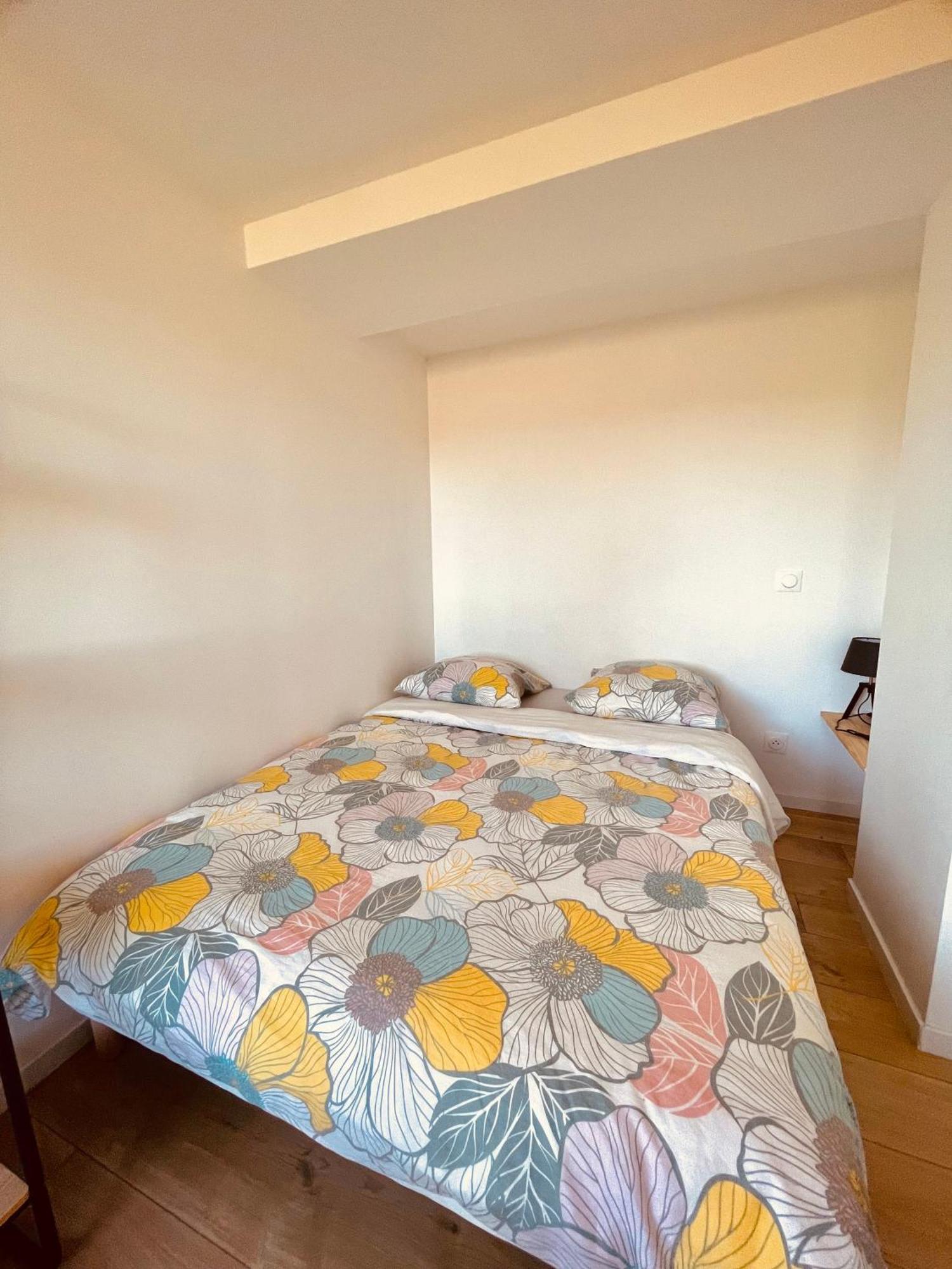 T1 Bis Renove Au Centre D'Auch Apartment Ngoại thất bức ảnh